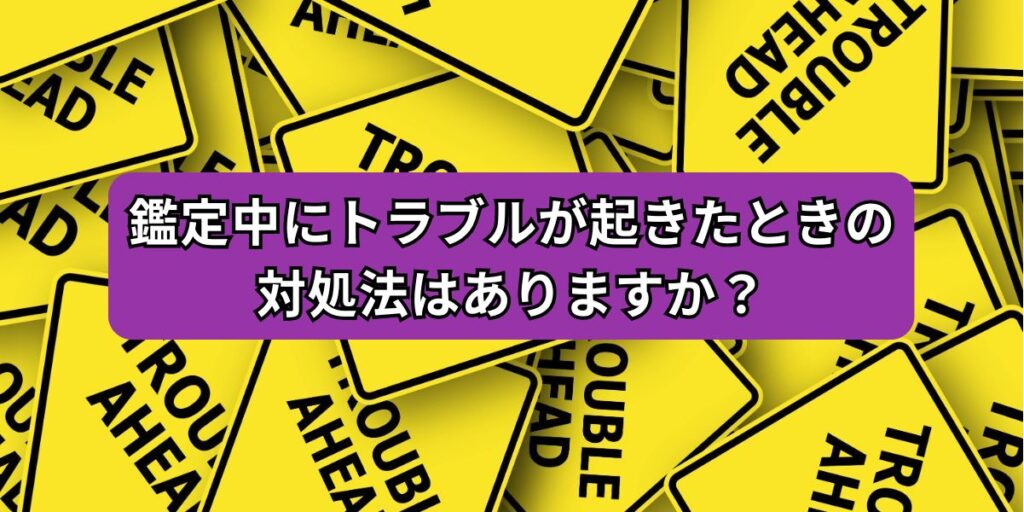 鑑定中にトラブルが起きたときの対処法はありますか？