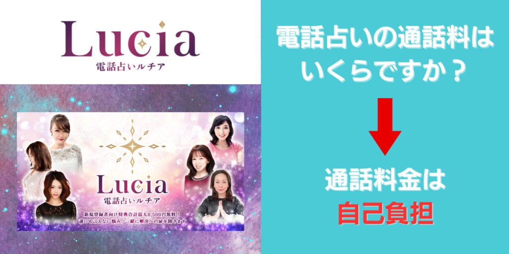 通話料は「自己負担」