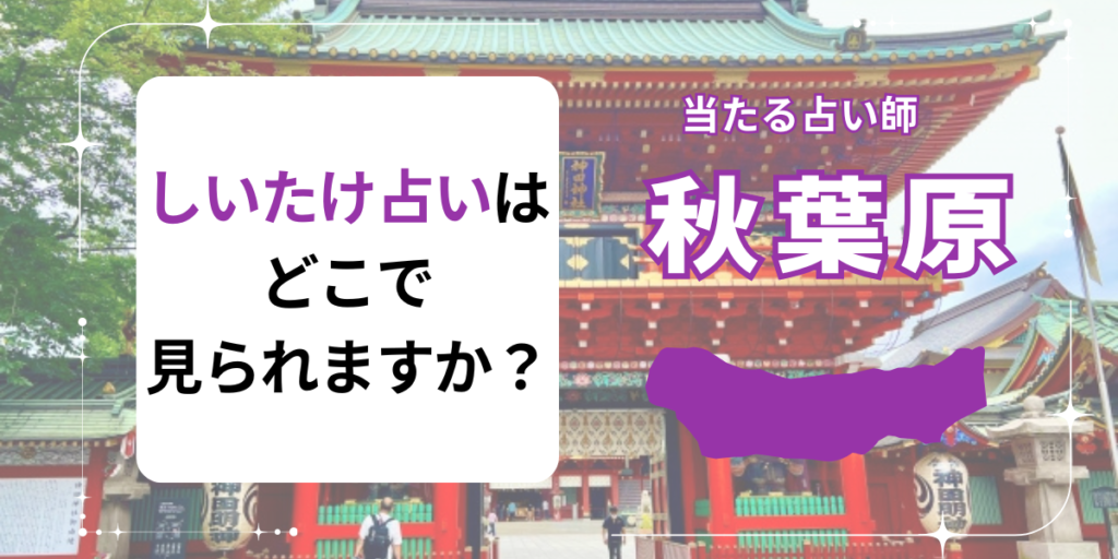 しいたけ占いはどこで見られますか？