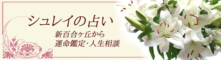 シュレイの占い