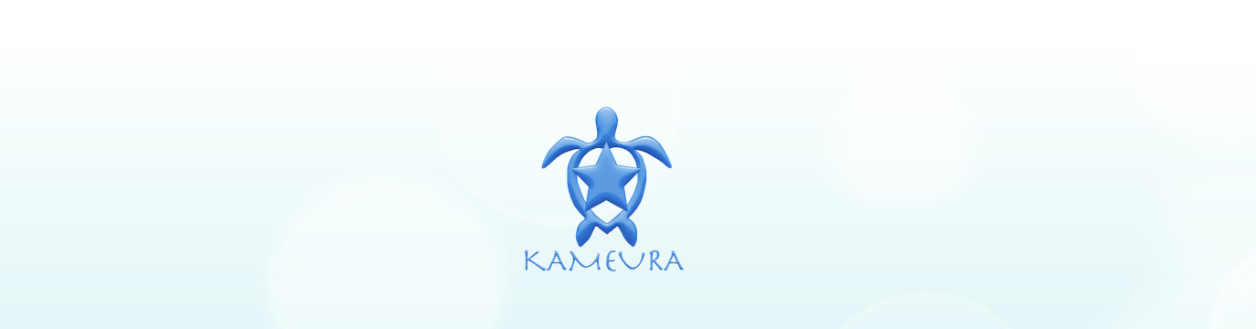 福岡　占い　四柱推命・手相鑑定 亀占