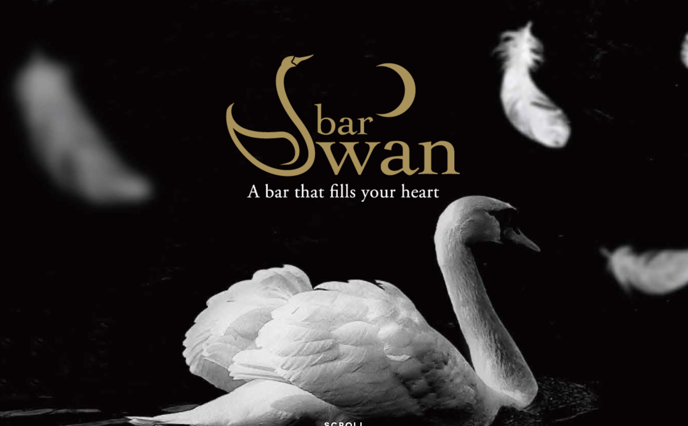 福岡　占い　bar Swan