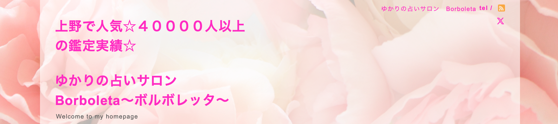 ゆかりの占いサロン Borboleta〜ボルボレッタ〜