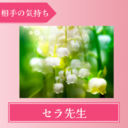 みんなの電話占い　セラ先生