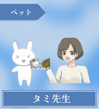 タミ先生