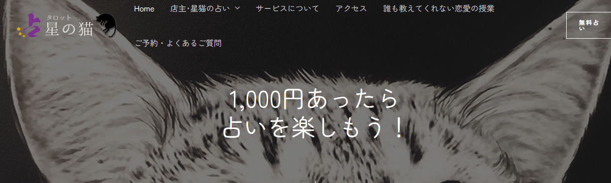 タロット 星の猫