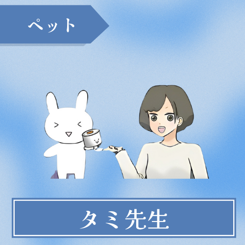 占いと魔法の店 タミ-タミ先生