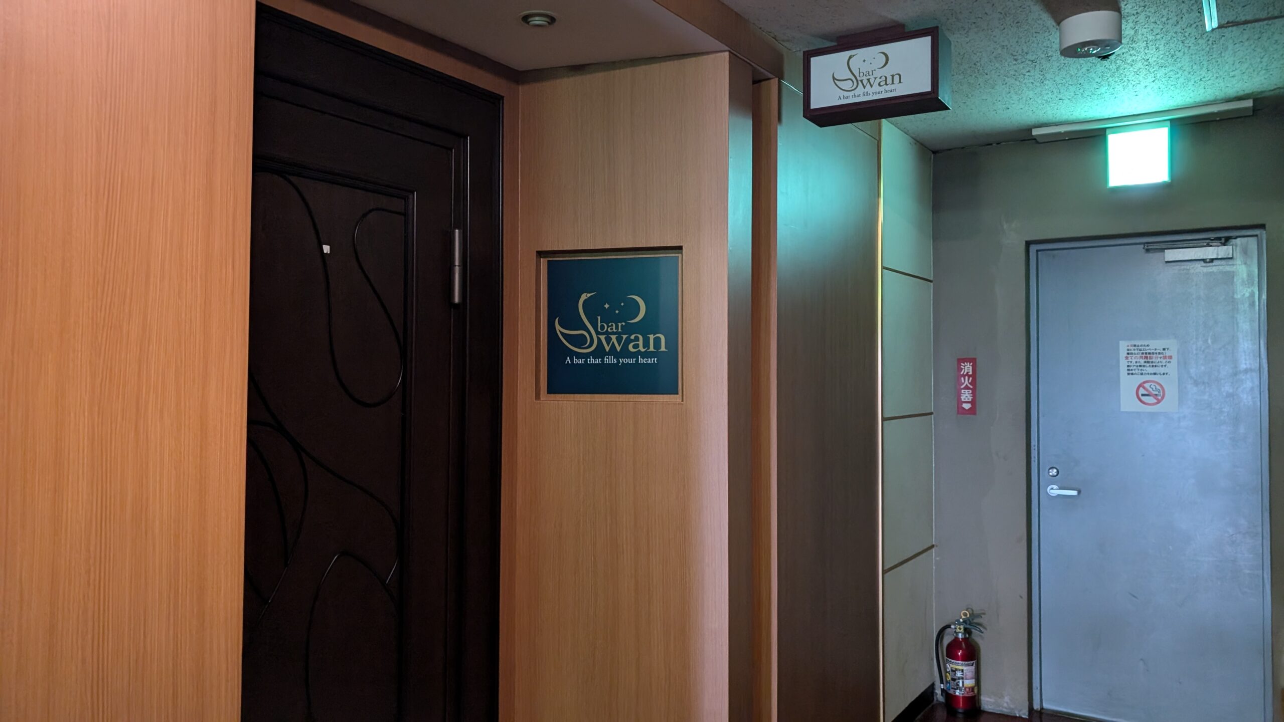 福岡の占い師 占いbar swan