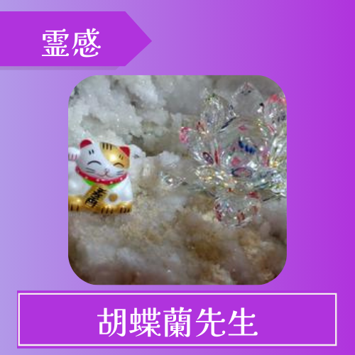 ココナラ占い 胡蝶蘭先生